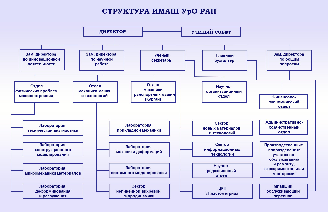 Структура института